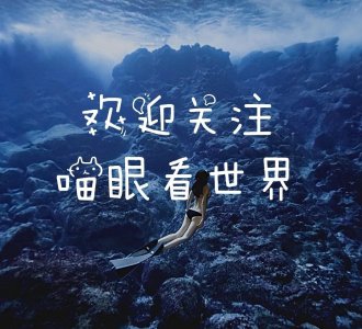 ​诛仙最美亲亲雪琪小师姐来啦（精选高清壁纸）