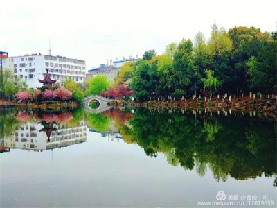 ​2022年安徽高考太湖中学厉害了