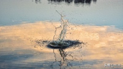 ​浑水摸鱼：乱中取胜，乘势而上