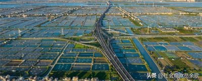 ​香海大桥虽改写了珠海市内半小时无法上高速的命运，却被不断吐槽
